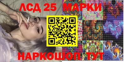 спайс Коммунар